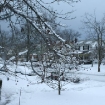 2010-02-06 (006)